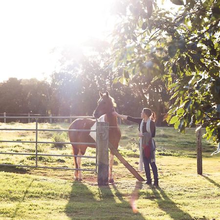 Bridle Guesthouse Maleny Bagian luar foto